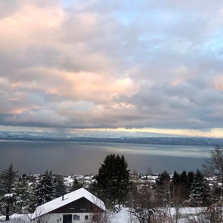 Les Vies En Rose Apartment Evian-les-Bains Bagian luar foto