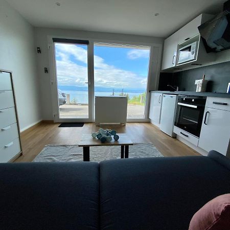 Les Vies En Rose Apartment Evian-les-Bains Bagian luar foto