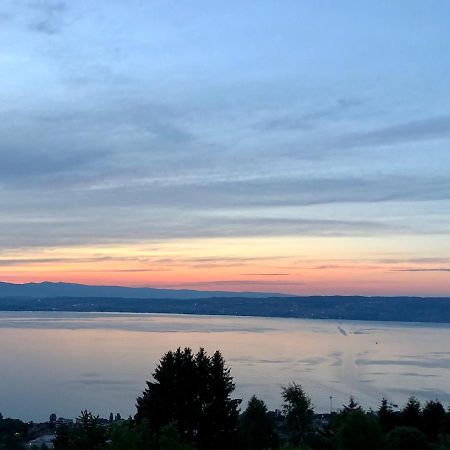 Les Vies En Rose Apartment Evian-les-Bains Bagian luar foto