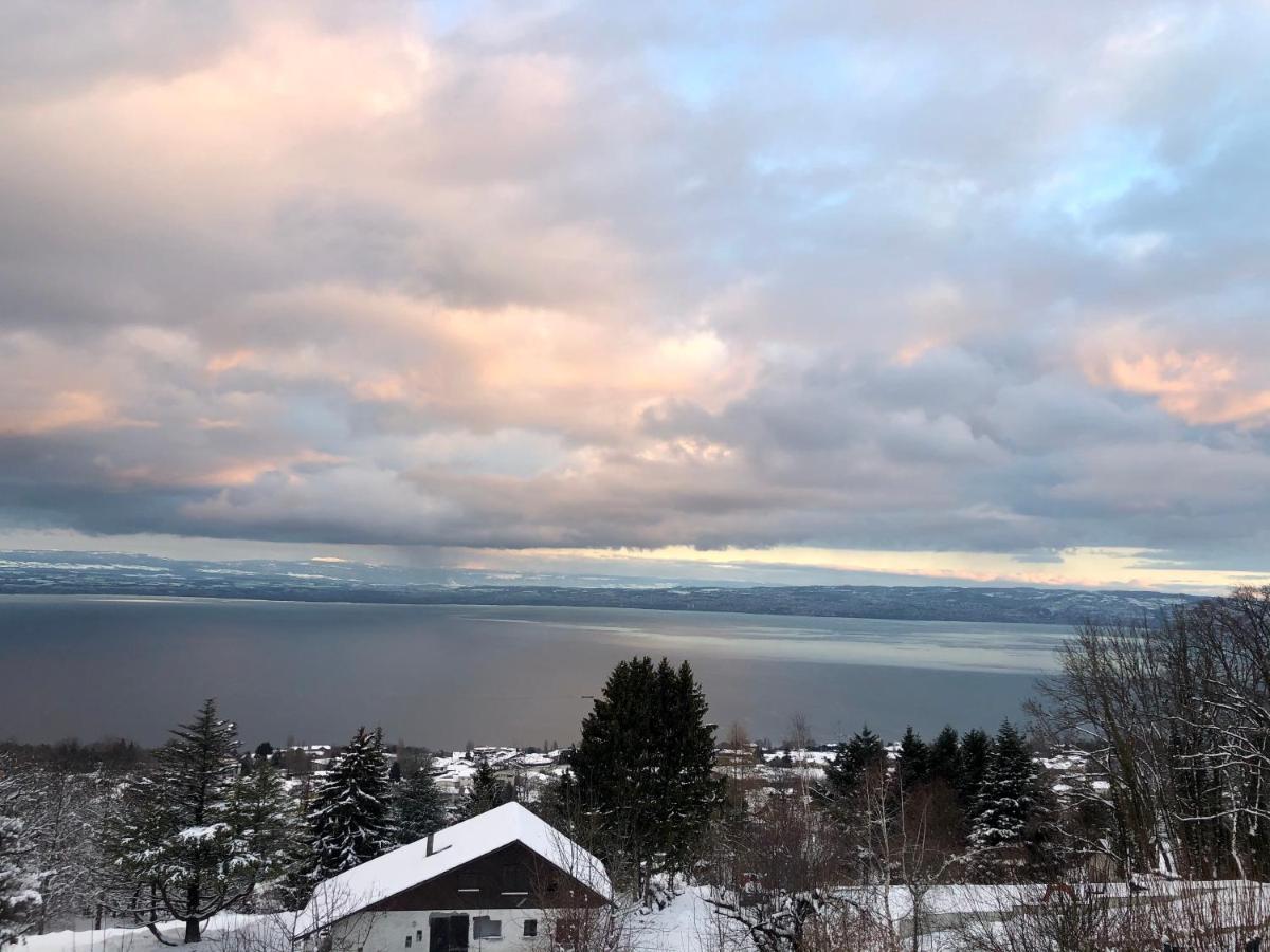 Les Vies En Rose Apartment Evian-les-Bains Bagian luar foto