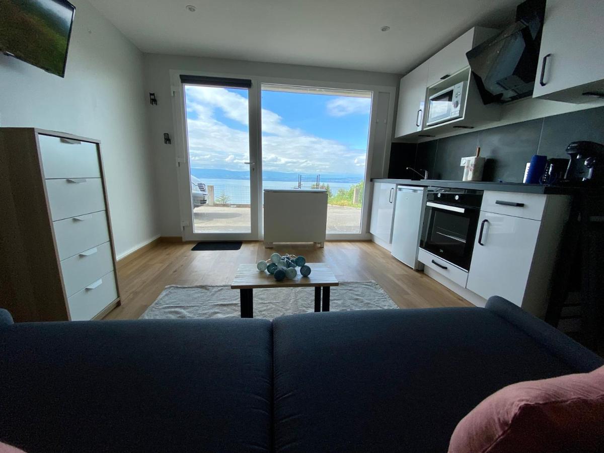 Les Vies En Rose Apartment Evian-les-Bains Bagian luar foto
