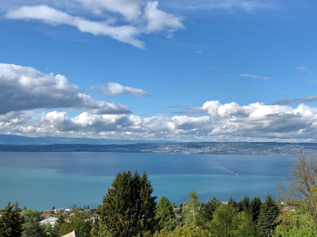 Les Vies En Rose Apartment Evian-les-Bains Bagian luar foto