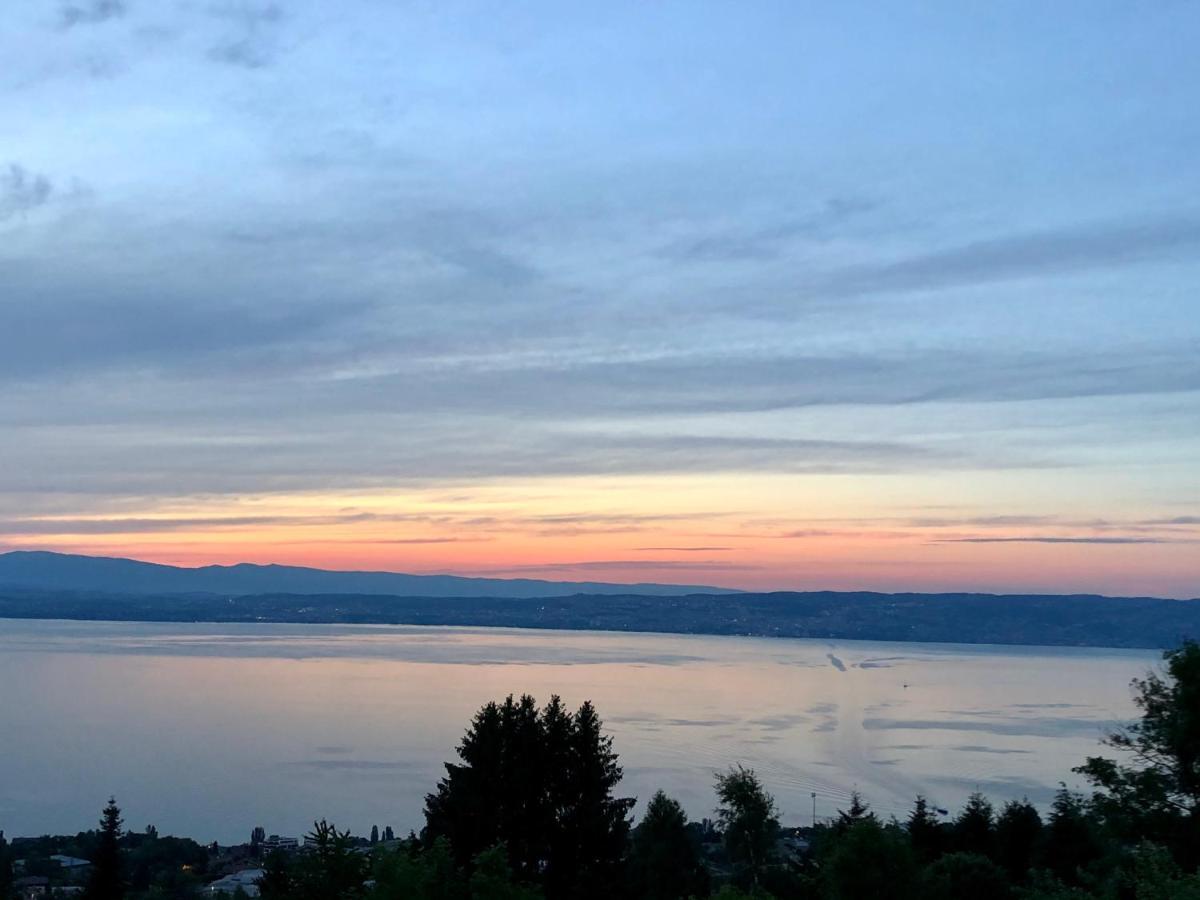 Les Vies En Rose Apartment Evian-les-Bains Bagian luar foto